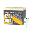 12V 100Ah LiFePO4 Lithium Battery R694454
