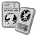1 oz American Silver Eagle Coin Q36216