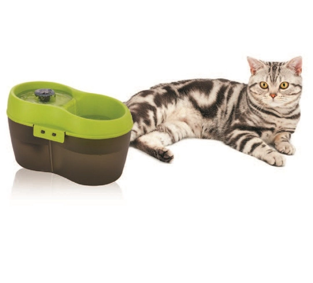 Lime Green Translucent Black 67 fl. oz Cat Water Fountain L195882
