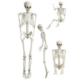 5.4FT Full Size Posable Skeleton with Movable Joints E2411