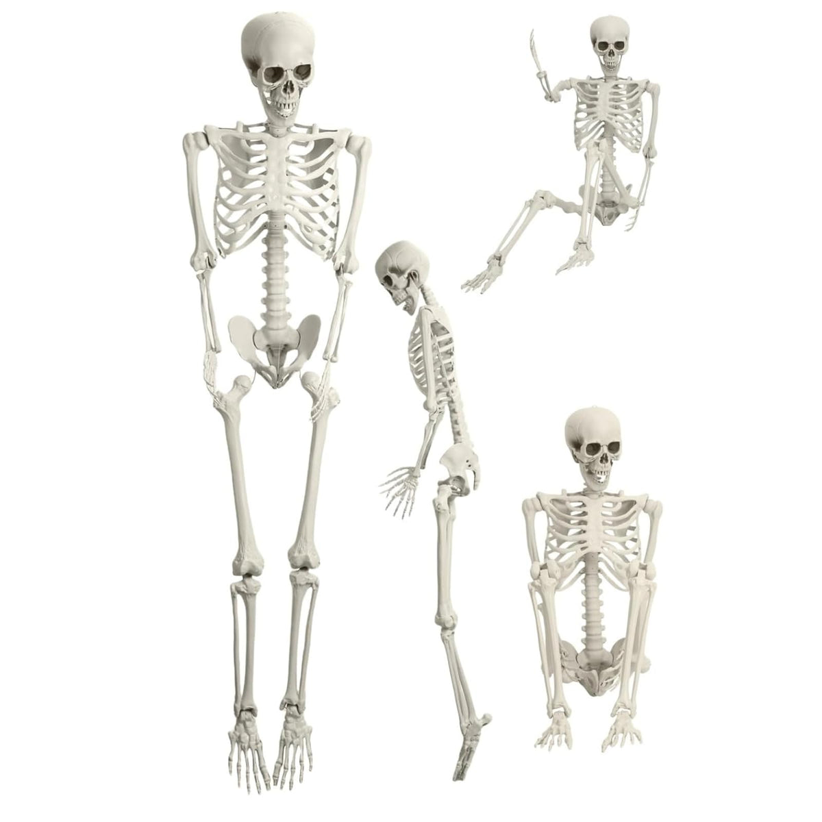 5.4FT Full Size Posable Skeleton with Movable Joints E2411