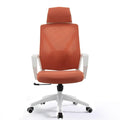 Ergonomic Mesh High Back Office Chair with Pillow K846