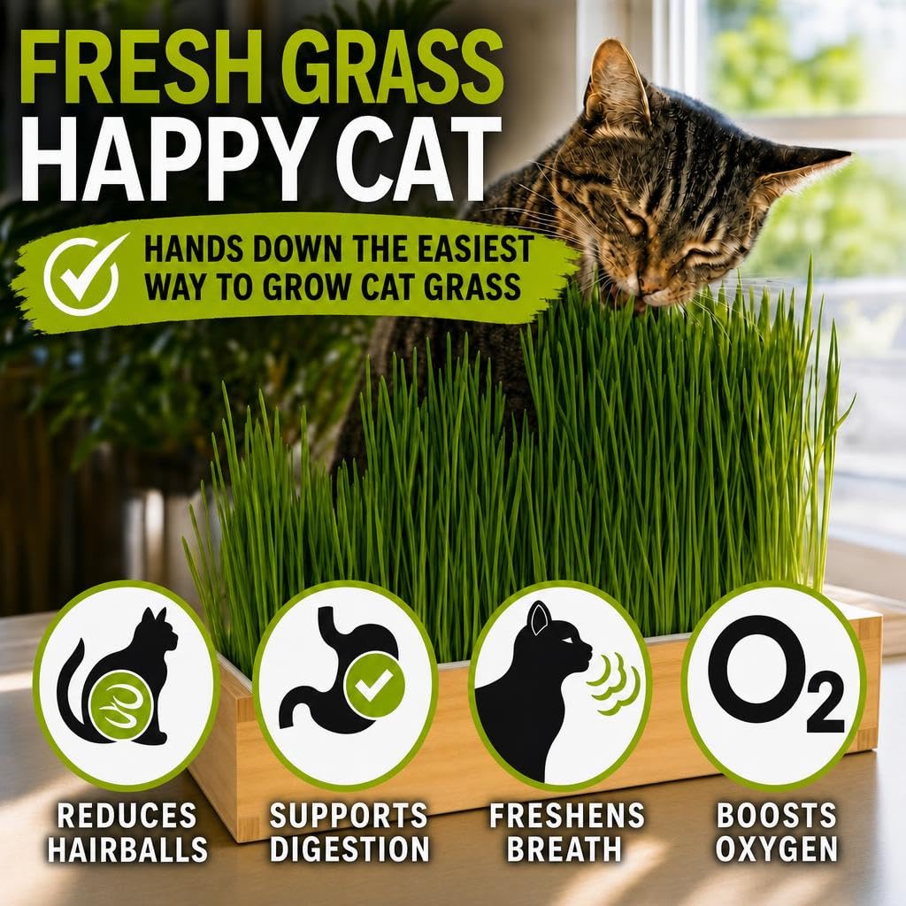 Self-Watering Cat Grass Planter Kit L507288