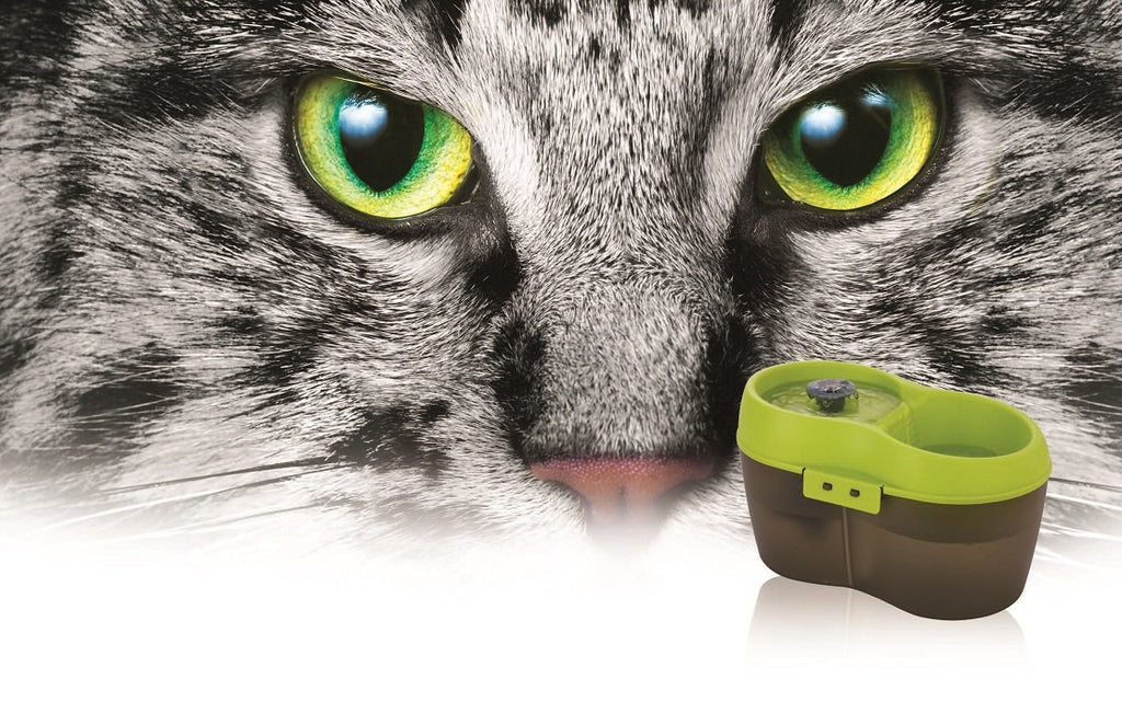 Lime Green Translucent Black 67 fl. oz Cat Water Fountain L195882