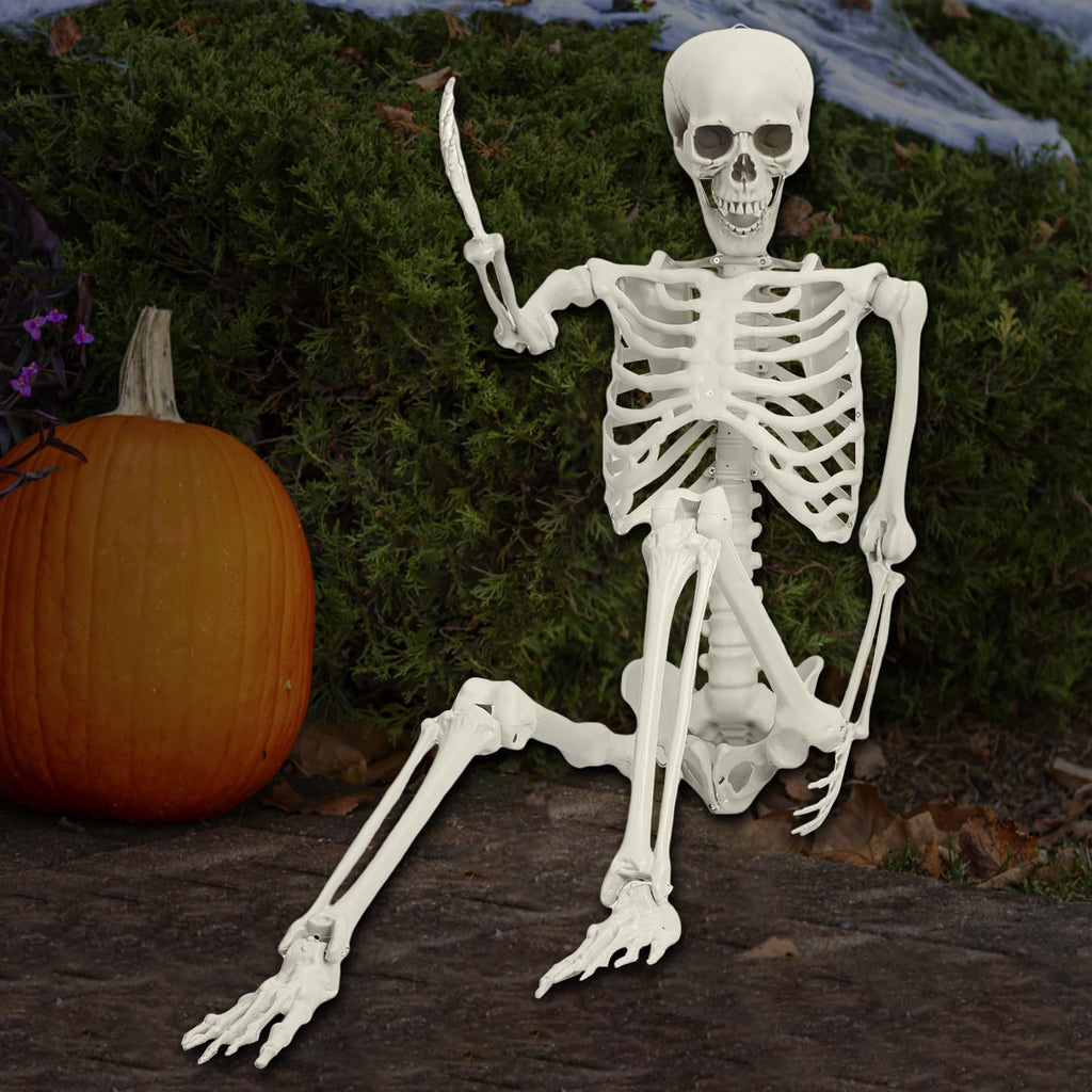 5.4FT Full Size Posable Skeleton with Movable Joints E2411