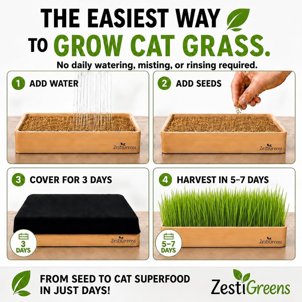 Self-Watering Cat Grass Planter Kit L507288