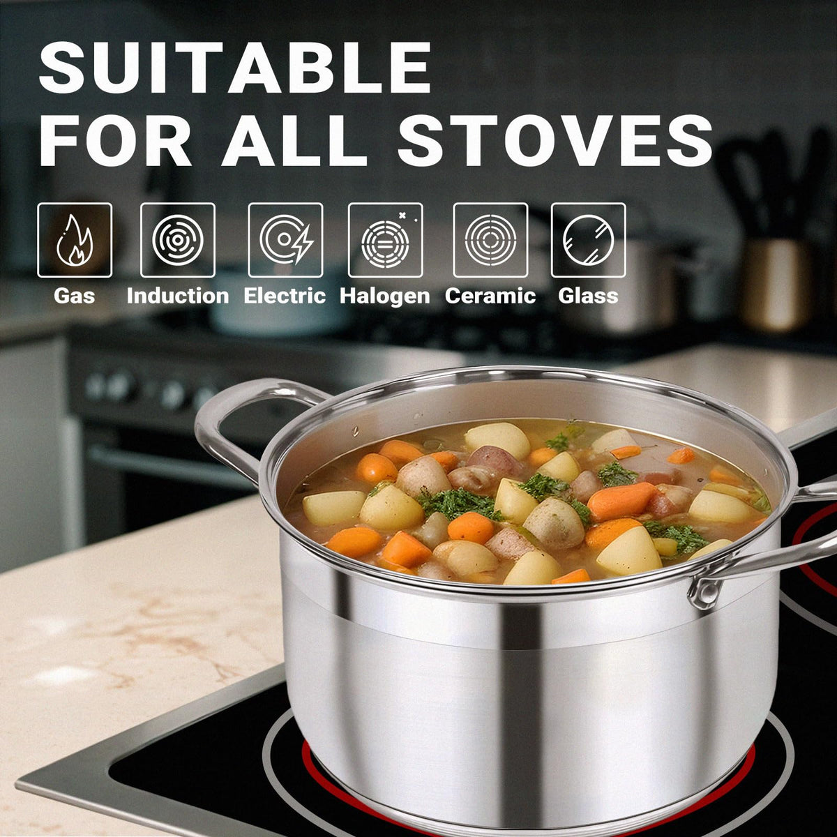 8 Quart Stainless Steel Induction Stock Pot G3389