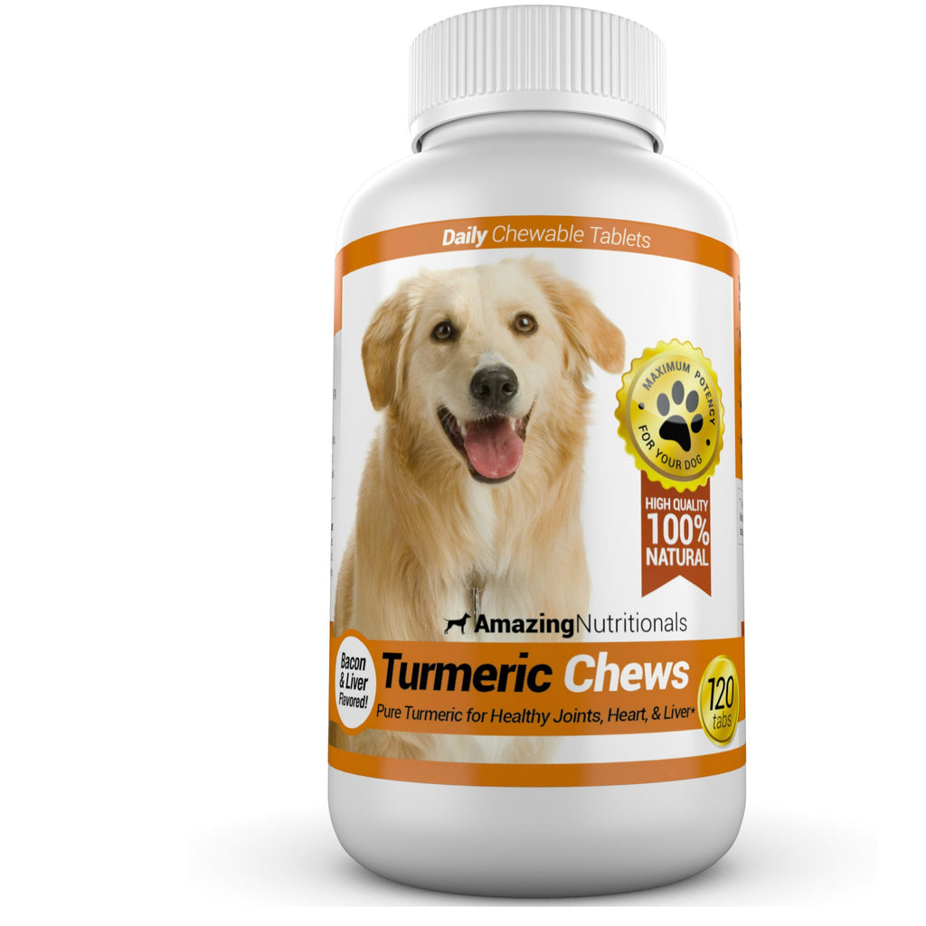 Turmeric Probiotics for Dogs Digestive Health Bundle A64239