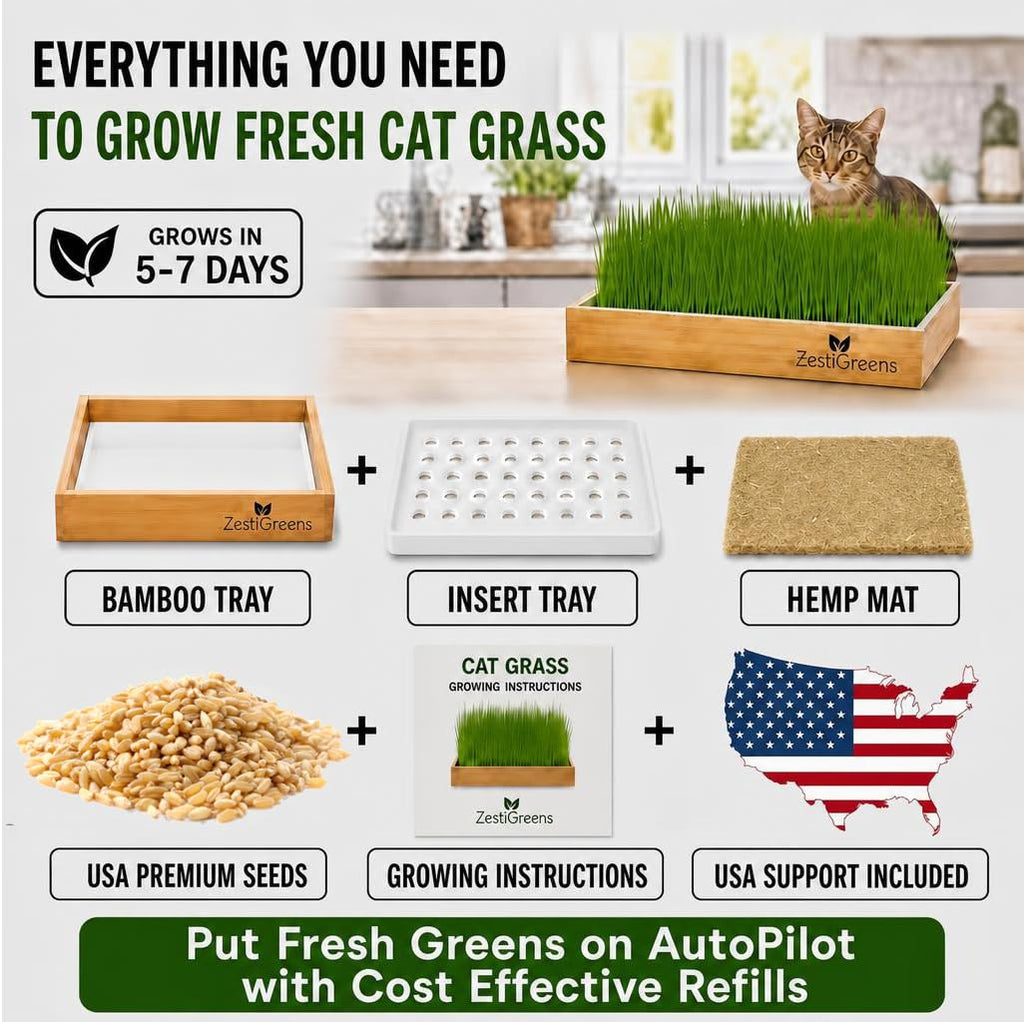 Self-Watering Cat Grass Planter Kit L507288