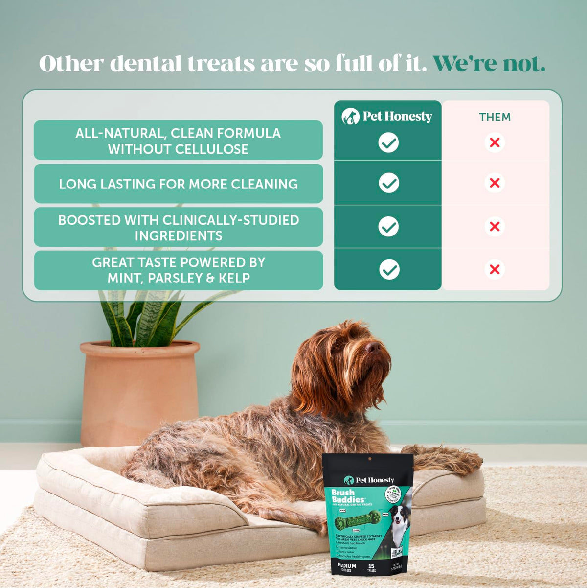 Dog Dental Chews 15 Count J450164