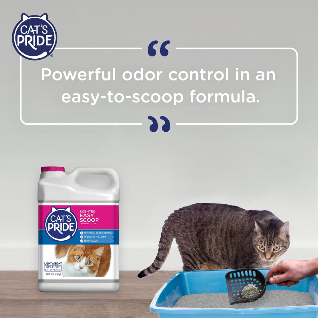 Scented Clumping Cat Litter 10lb T32197