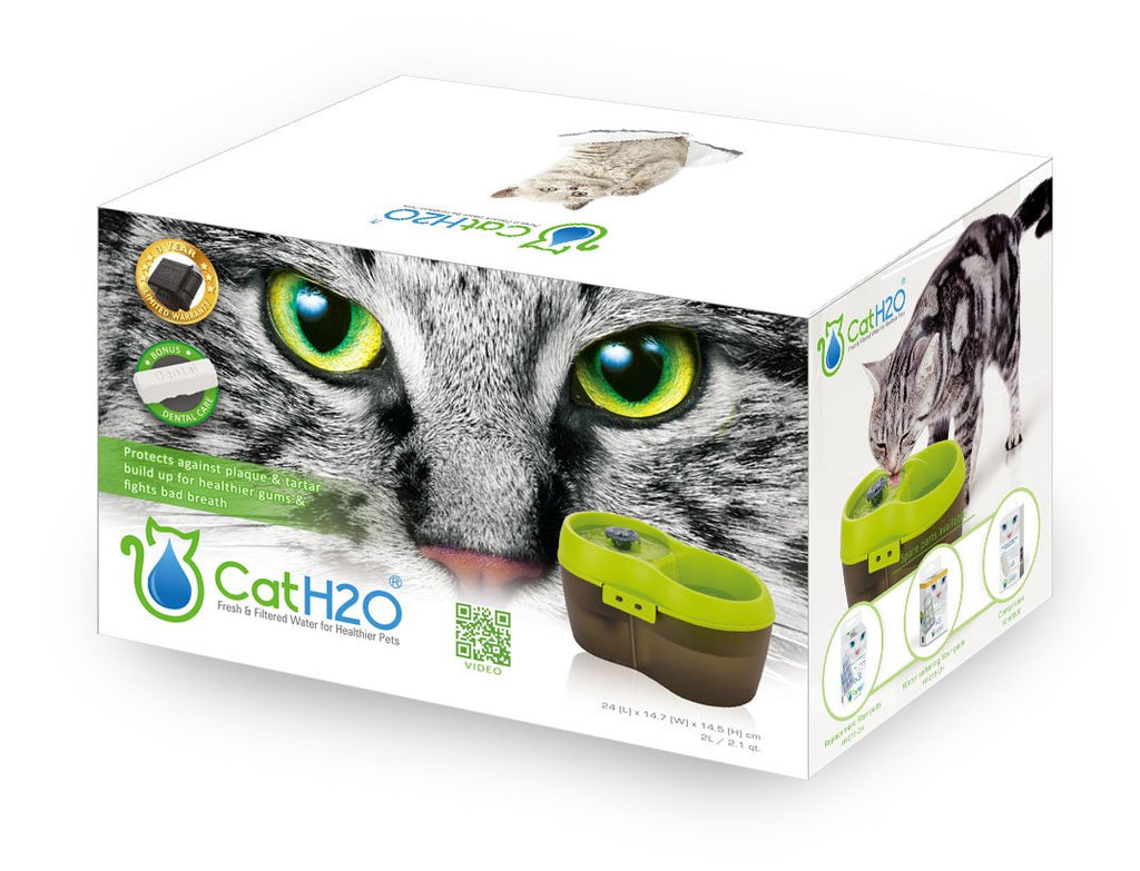 Lime Green Translucent Black 67 fl. oz Cat Water Fountain L195882