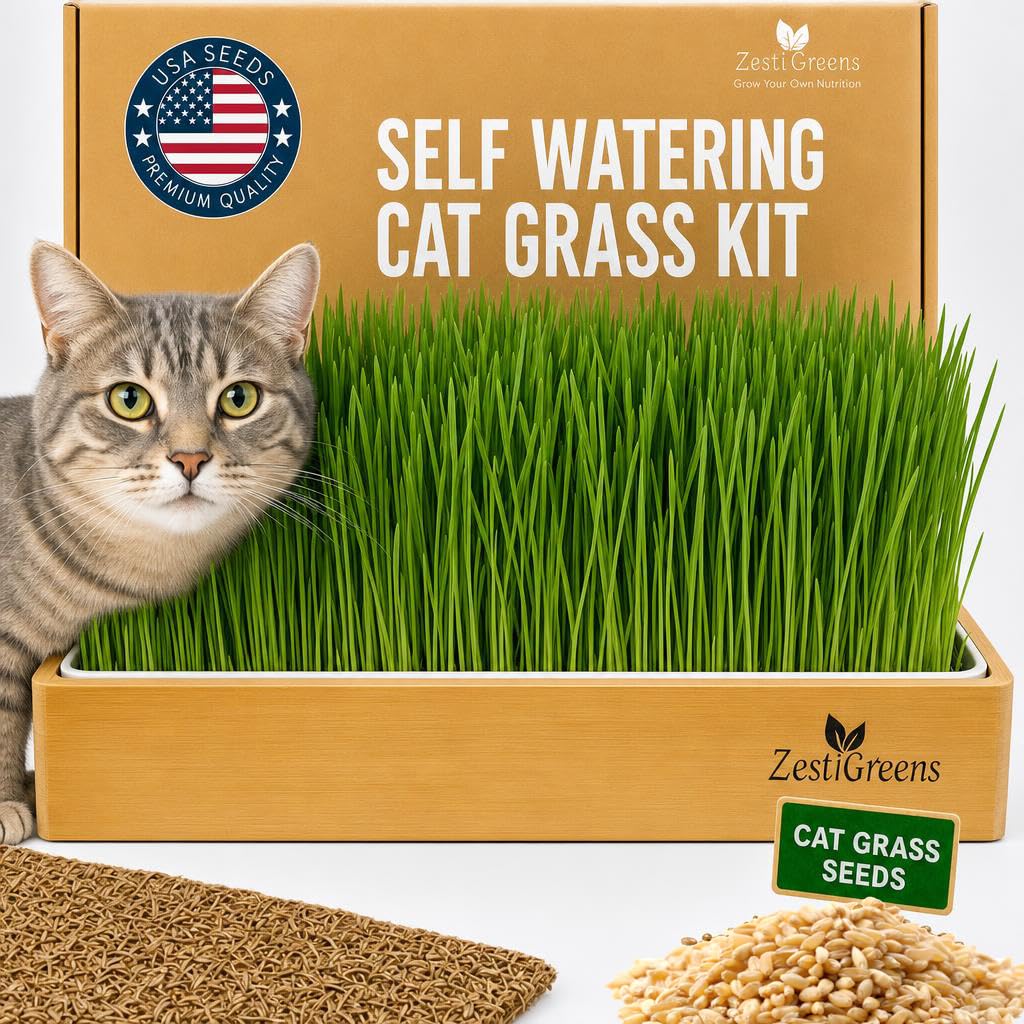 Self-Watering Cat Grass Planter Kit L507288