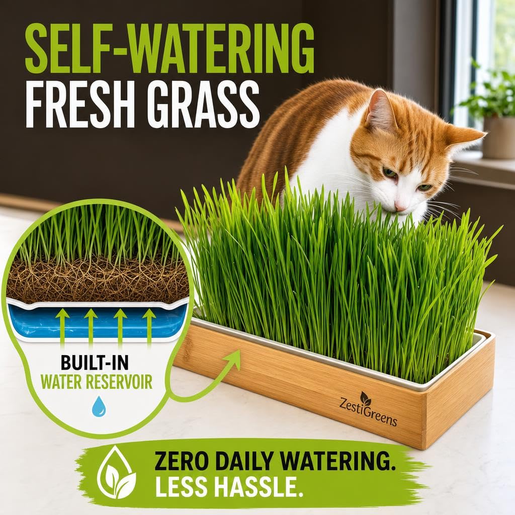 Self-Watering Cat Grass Planter Kit L507288