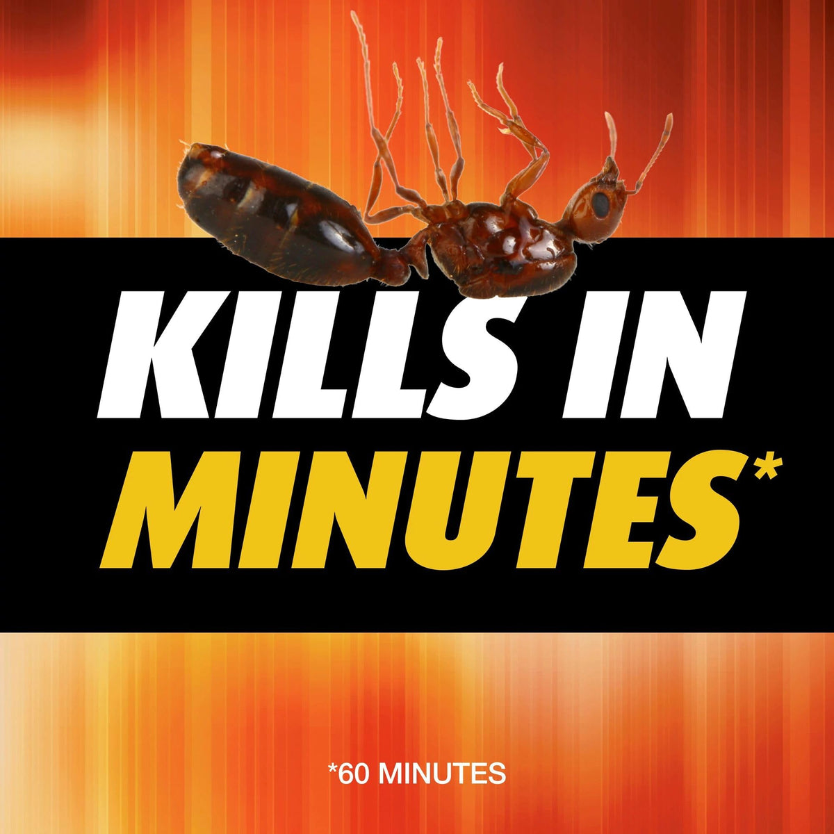 Fire Ant Killer 12 oz 3-Pack W321