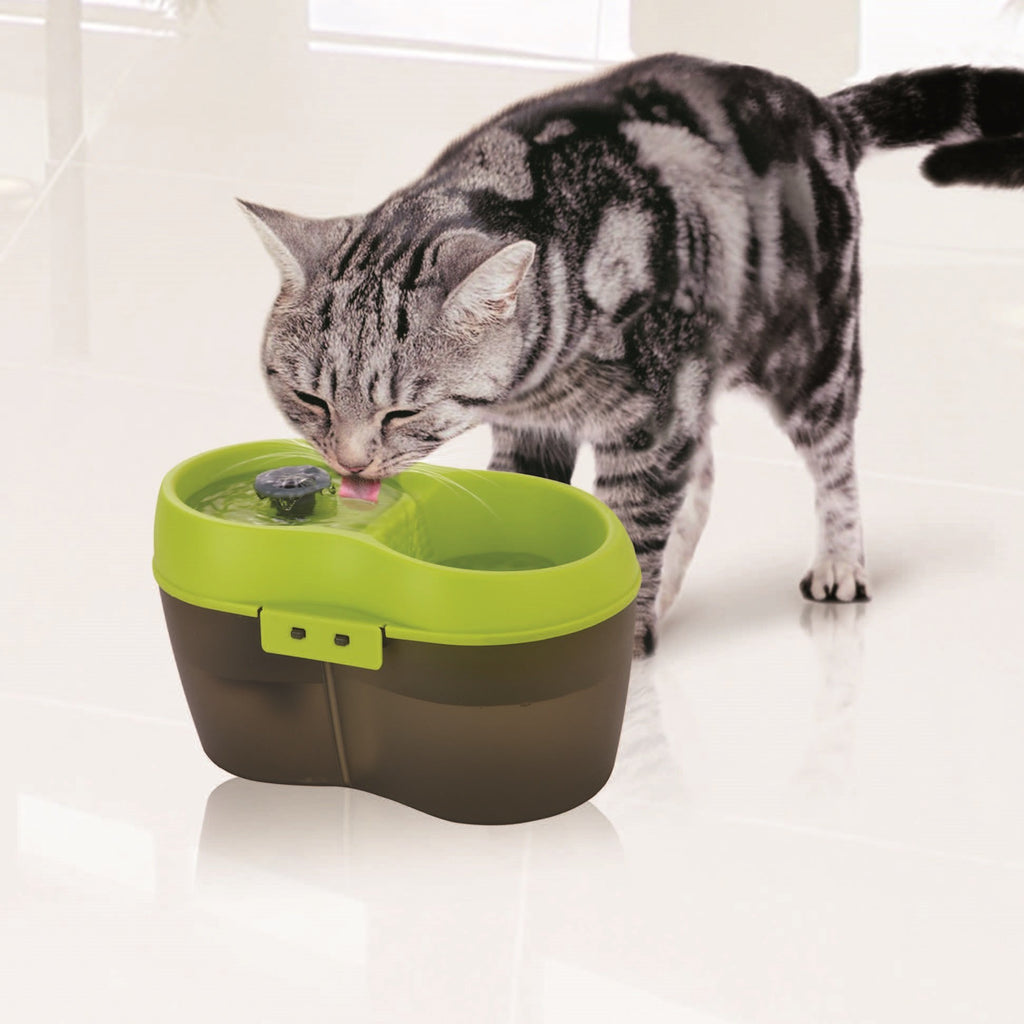 Lime Green Translucent Black 67 fl. oz Cat Water Fountain L195882