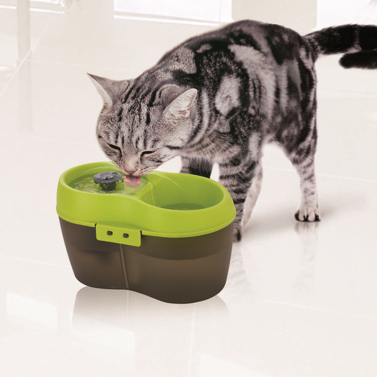 Lime Green Translucent Black 67 fl. oz Cat Water Fountain L195882