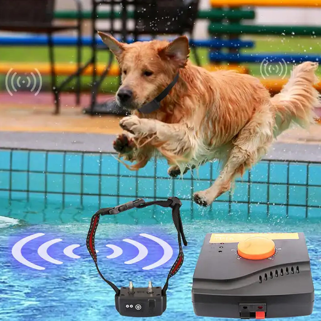 Electric In-Ground Dog Fence Waterproof Shock Collar H972064