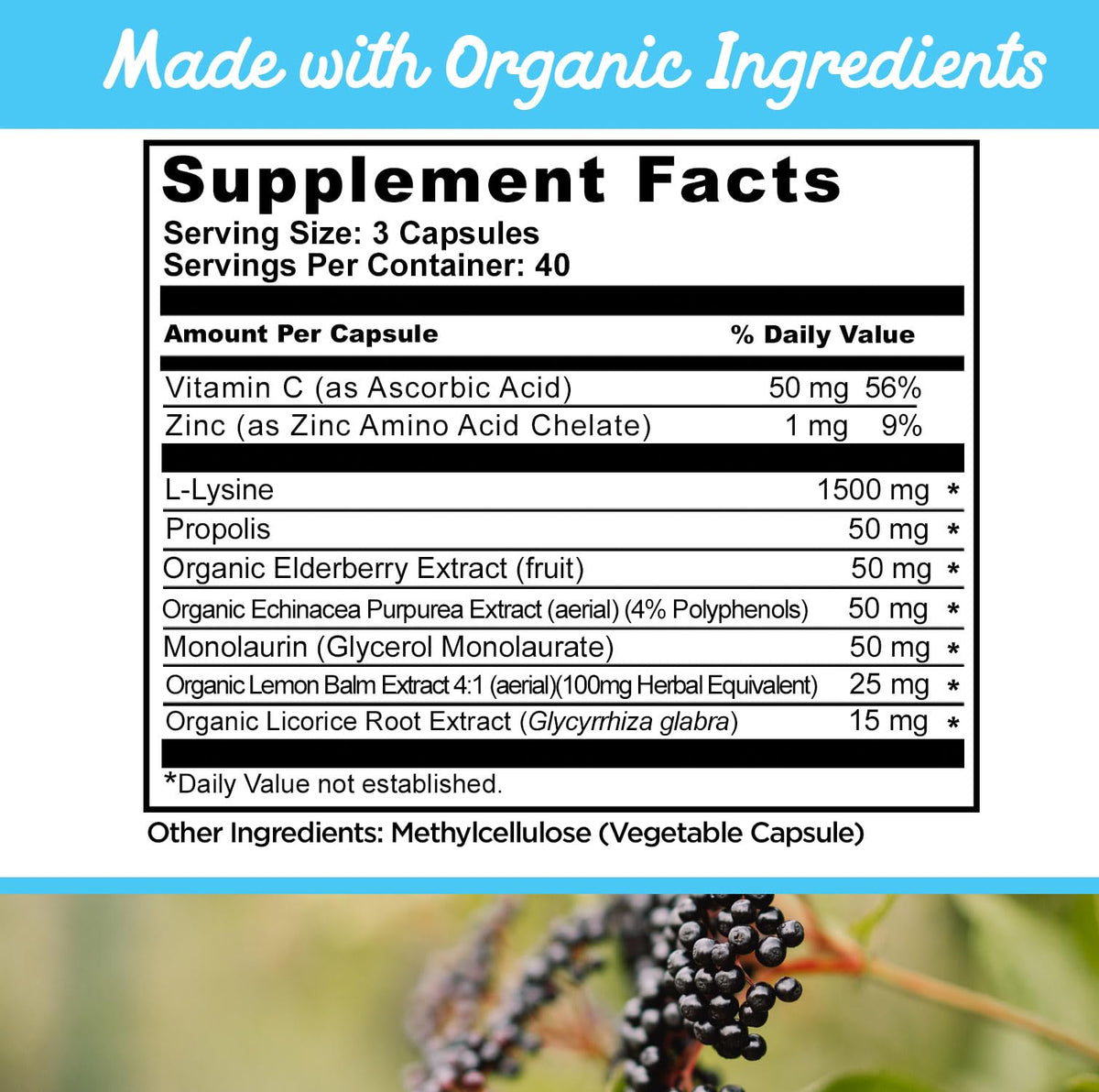 Lysine Lemon Balm 120 Capsules Q336