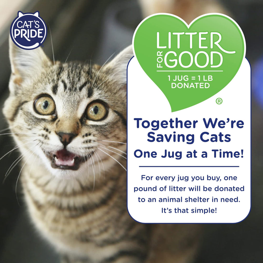 Scented Clumping Cat Litter 10lb T32197