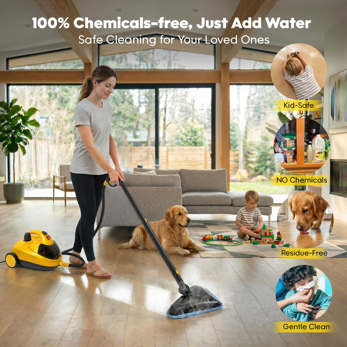 Heavy-Duty Steam Cleaner D27447
