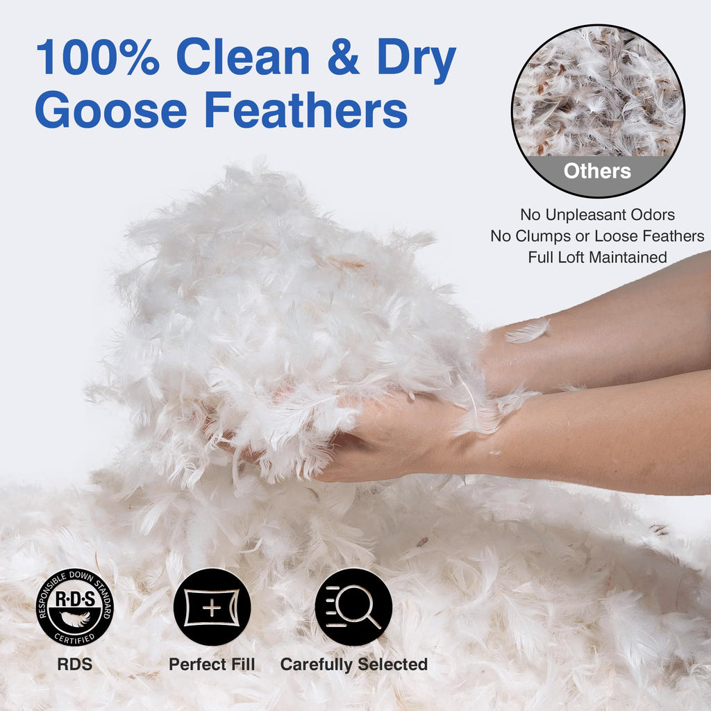 Queen Size Set of 2 Feather Pillows U353