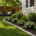 2 Extra Large 3 Gallon Gardenia Plants R758