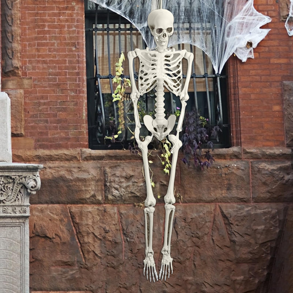5.4FT Full Size Posable Skeleton with Movable Joints E2411