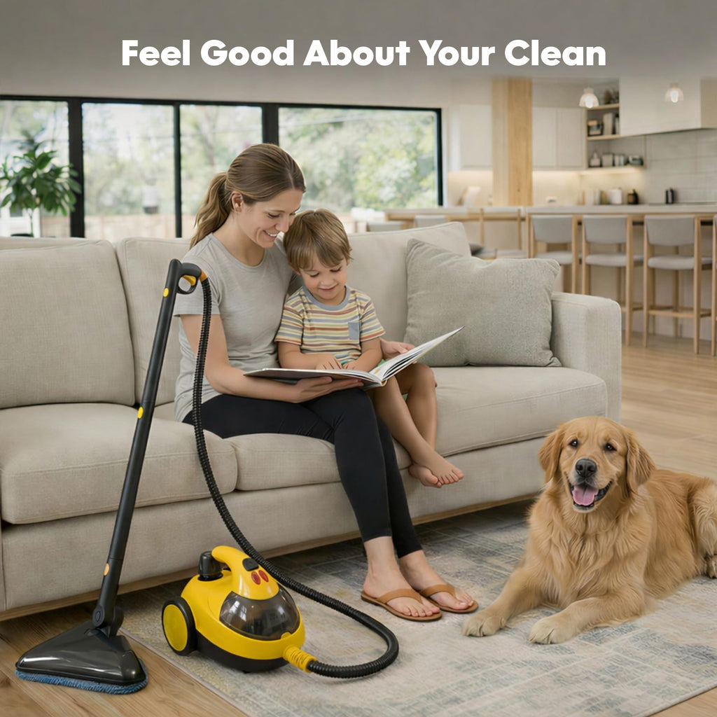 Heavy-Duty Steam Cleaner D27447