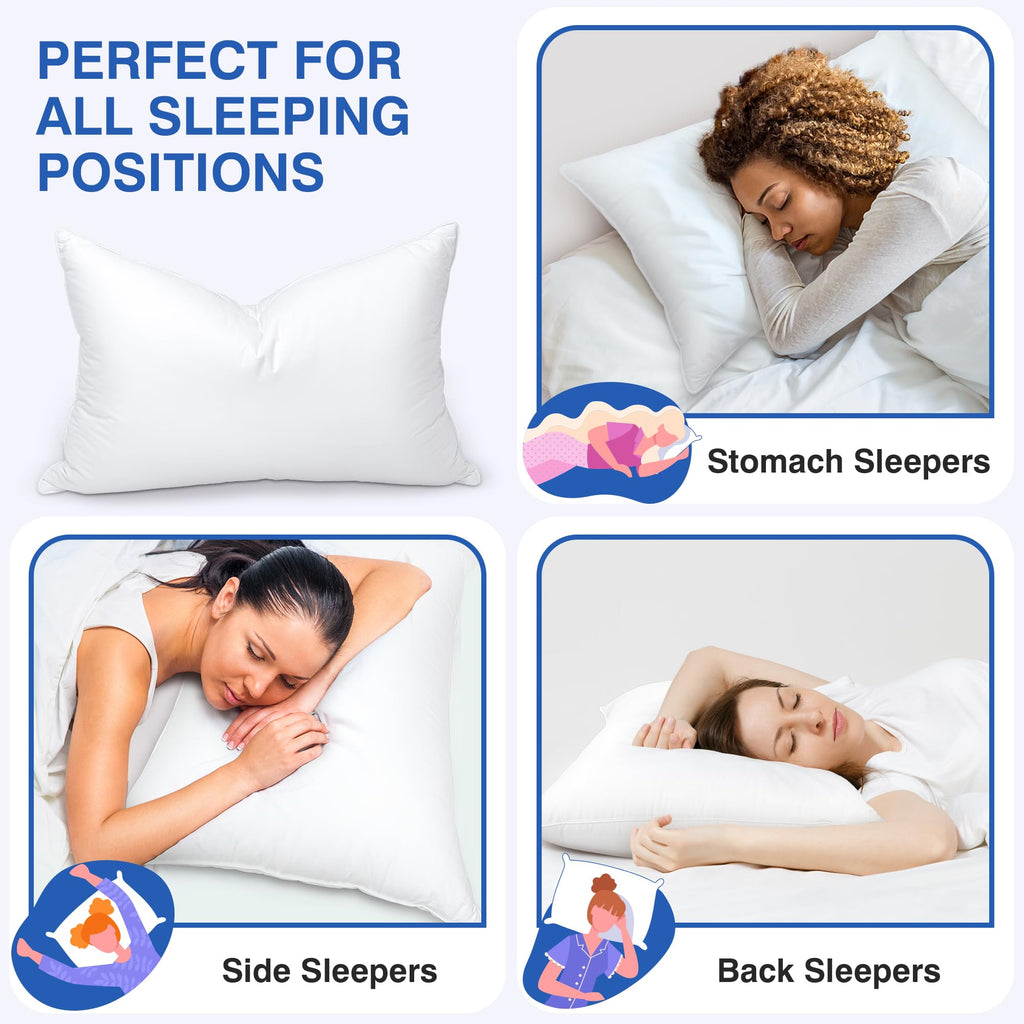 Queen Size Set of 2 Feather Pillows U353