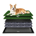 Dog Grass Pad with Tray 30"x20" C420