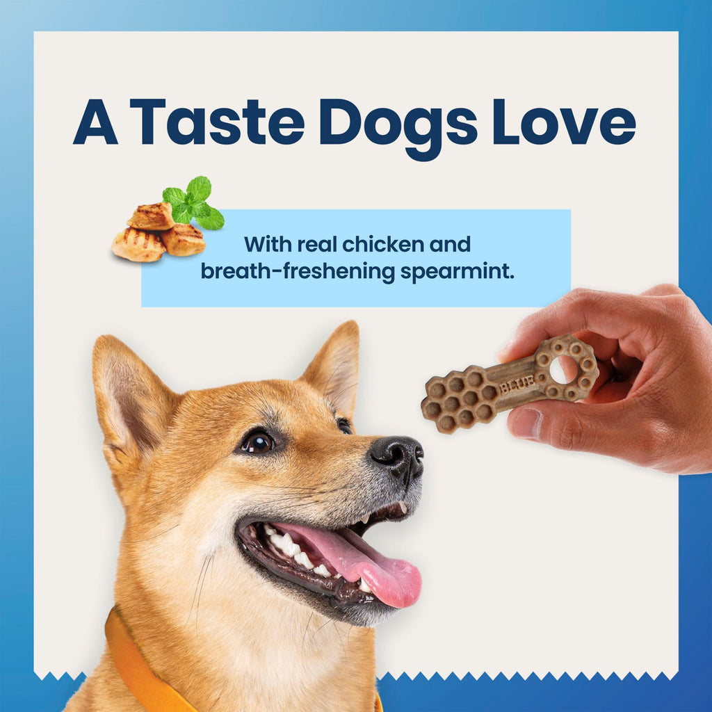 Chicken & Spearmint Medium Dental Chews, 11.5 oz, 14 ct D329