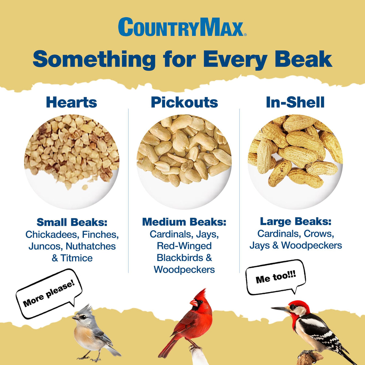 In-Shell Raw Peanuts for Wildlife & Squirrels D5989