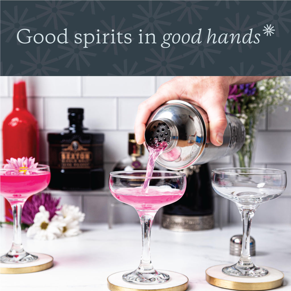 Martini Glass Set of 12, 8.5 Ounce Coupe Glasses with Stem A20249