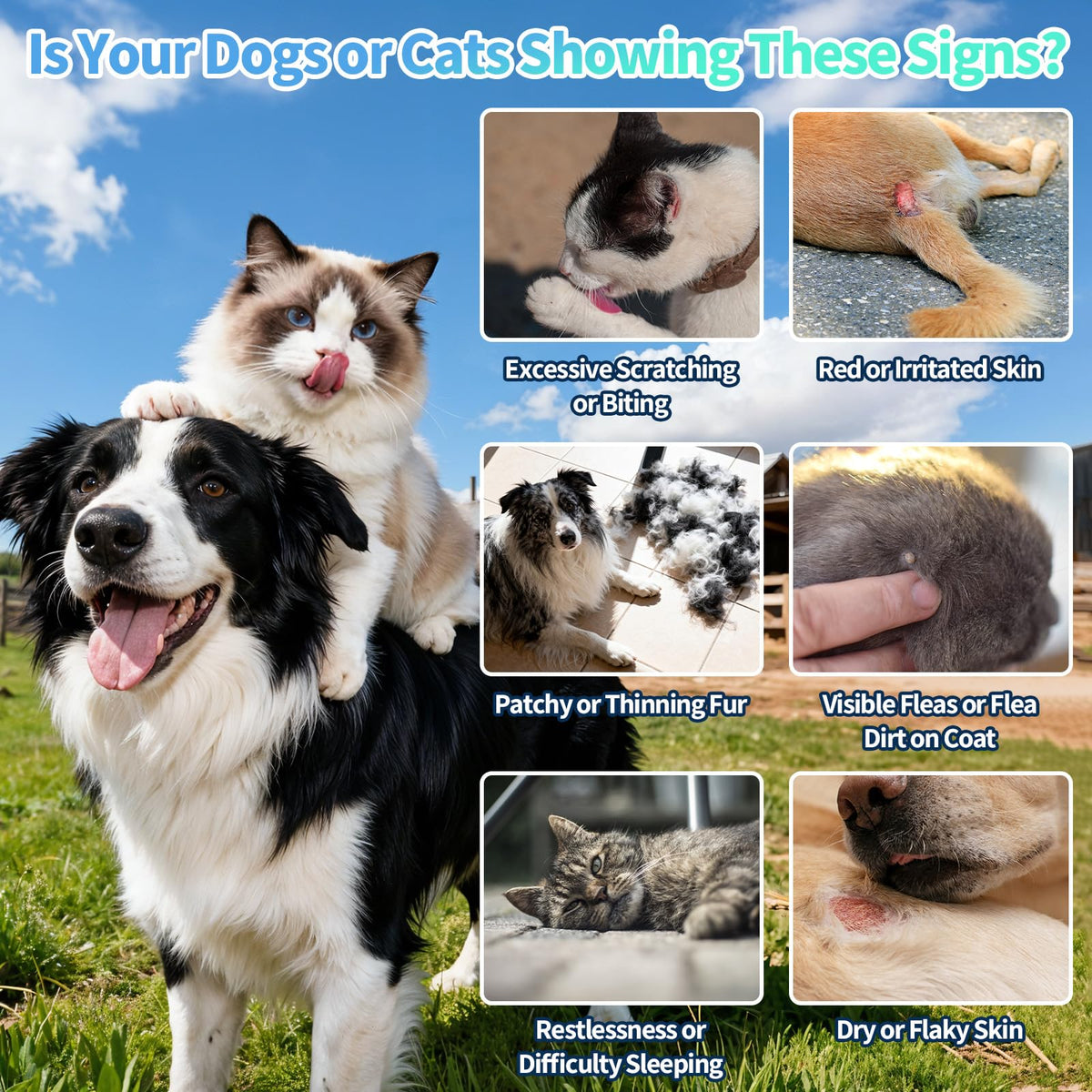 Natural Oral Flea and Tick Drops with Multivitamin for Pets V38960