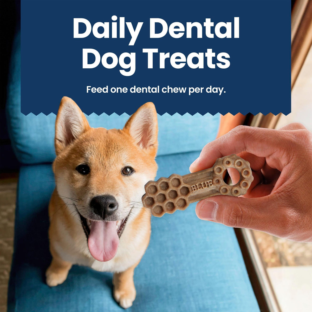 Chicken & Spearmint Medium Dental Chews, 11.5 oz, 14 ct D329