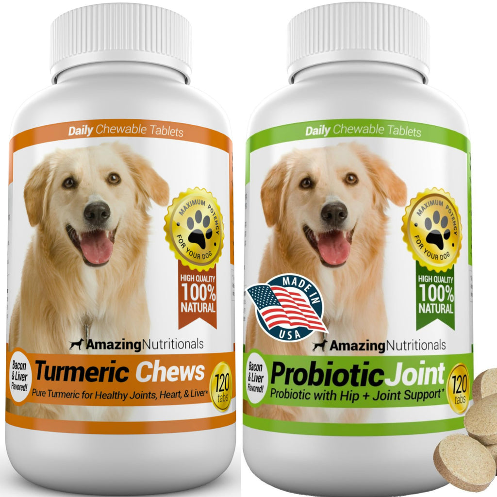 Turmeric Probiotics for Dogs Digestive Health Bundle A64239