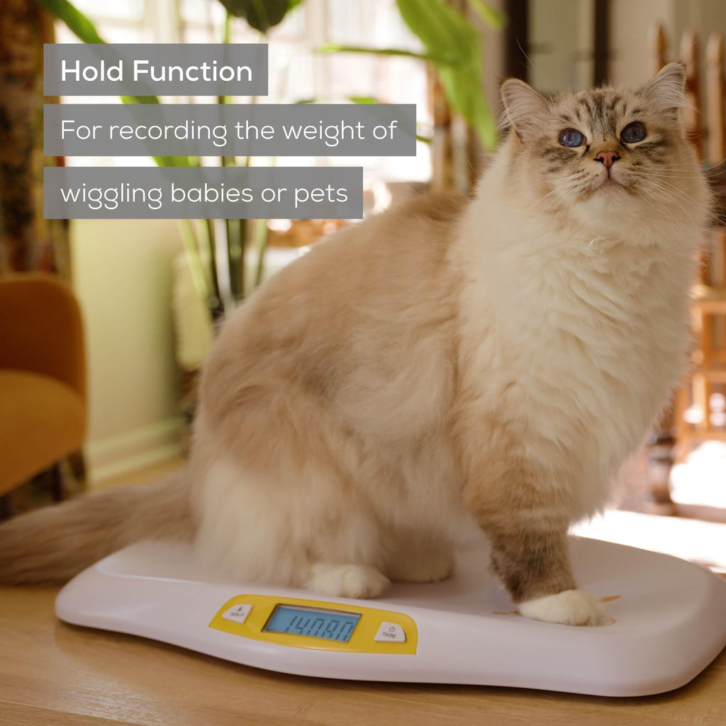Digital Baby Scale up to 44 lbs with Hold Function C546728