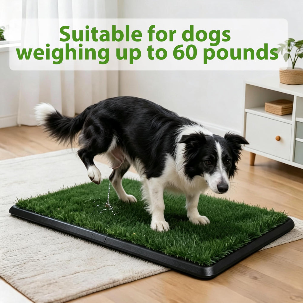 Dog Grass Pad with Tray 30"x20" C420