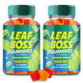 Hemp Gummies 2 Pack O2527