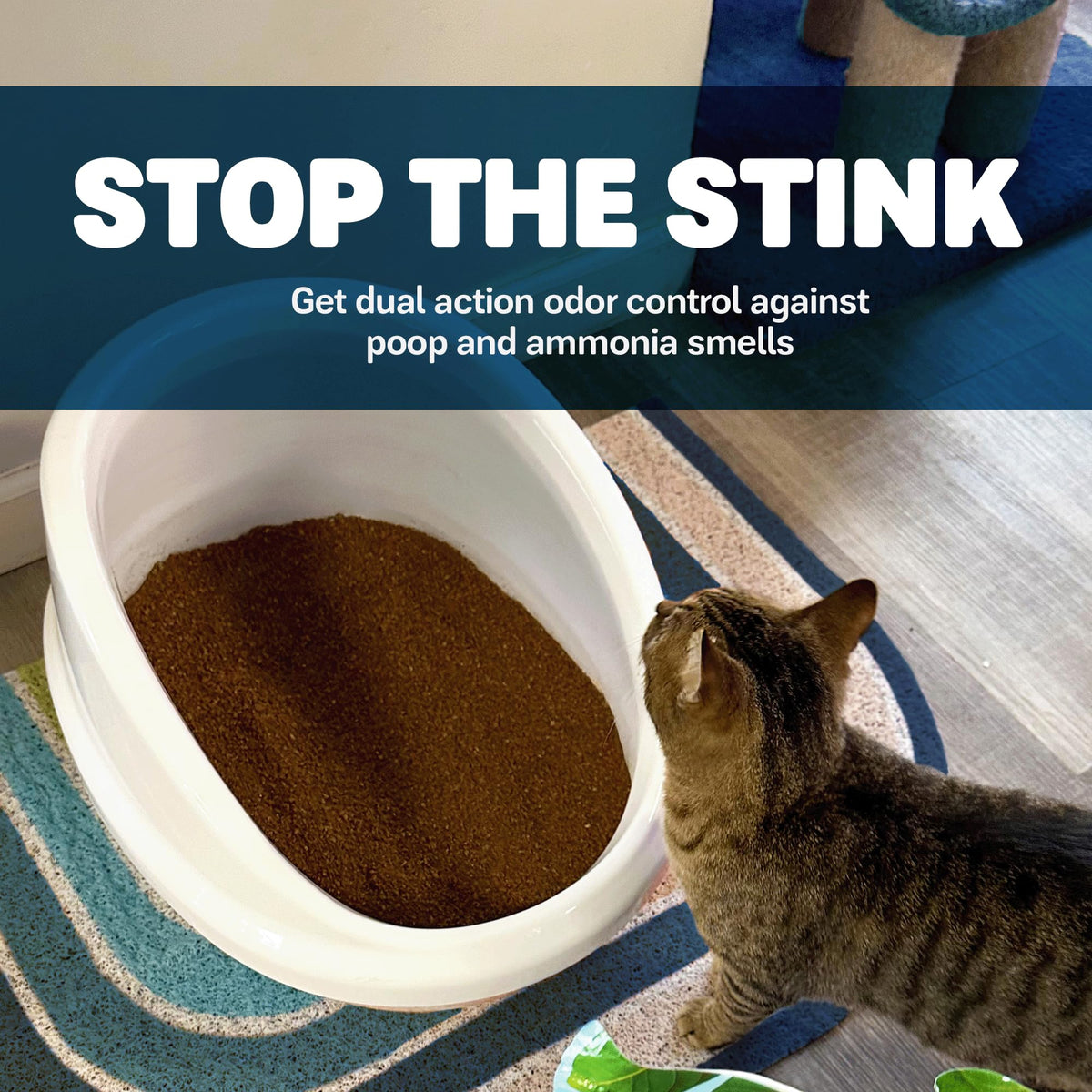 Walnut Shells Cat Litter, Multi-Cat, Unscented, 26 Lbs J835