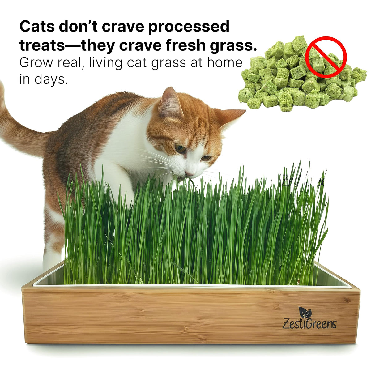 Self-Watering Cat Grass Planter Kit L507288