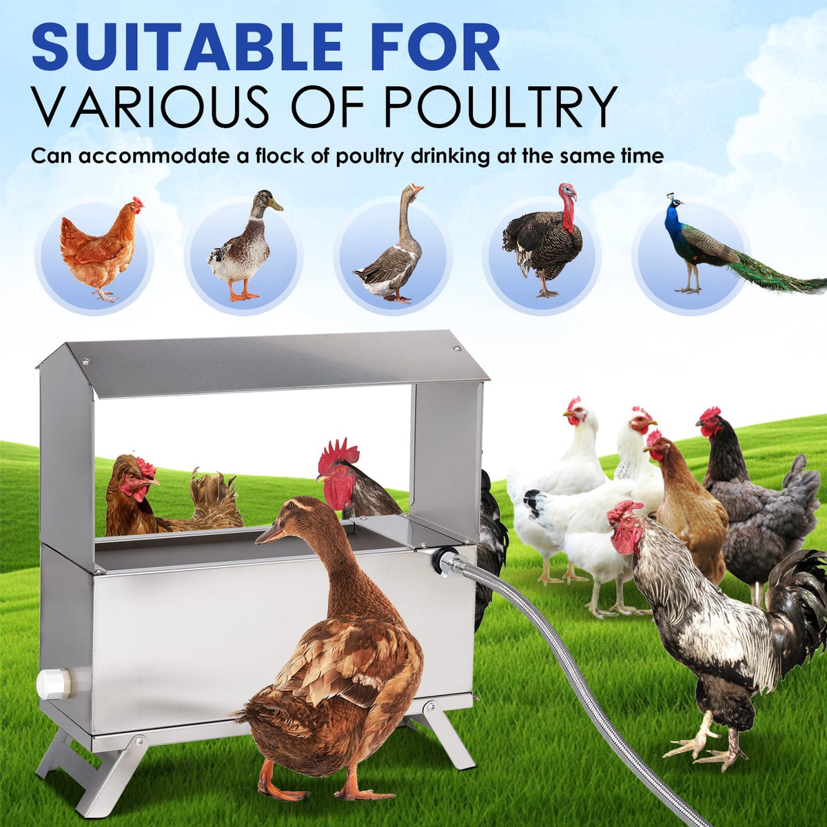 Automatic Chicken Waterer with Float Valve Kit Y79061