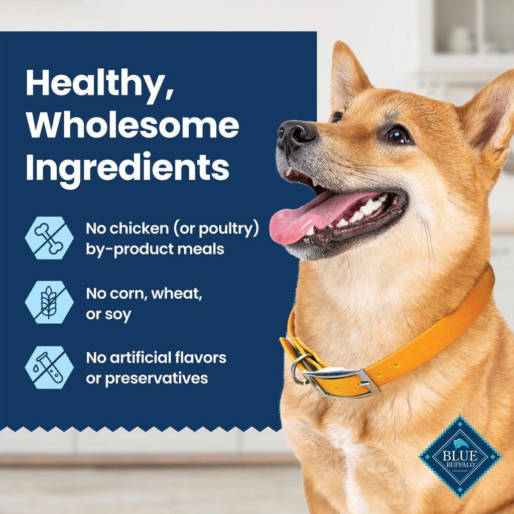 Chicken & Spearmint Medium Dental Chews, 11.5 oz, 14 ct D329