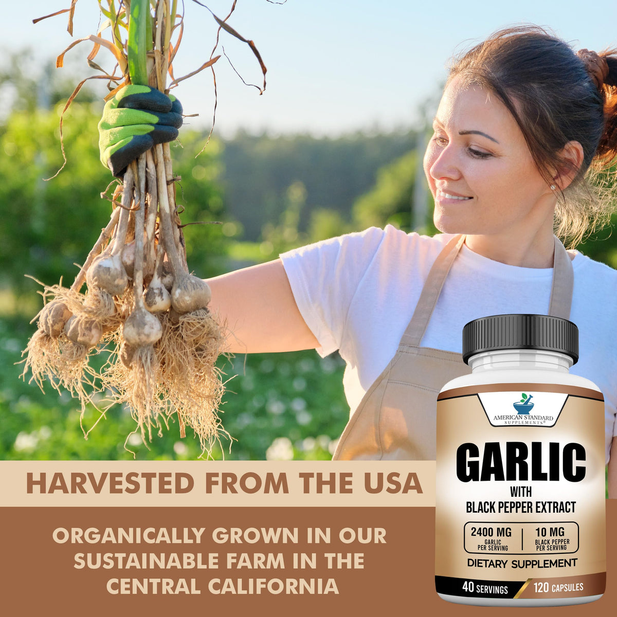 Garlic 2400mg with Black Pepper Fruit Extract 120 Capsules Q779